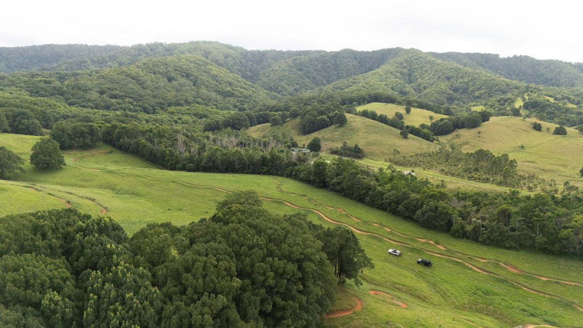 Uki Mountain Bike Park: Compact Trails, Maximum Grins