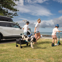 Load image into Gallery viewer, 8007565