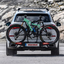 Load image into Gallery viewer, 9812161